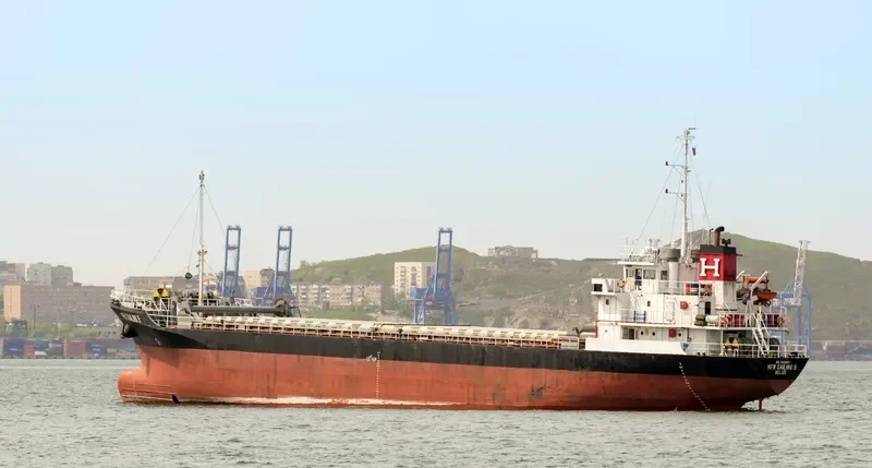 NEW SAILING 5 General Cargo IMO 9154622