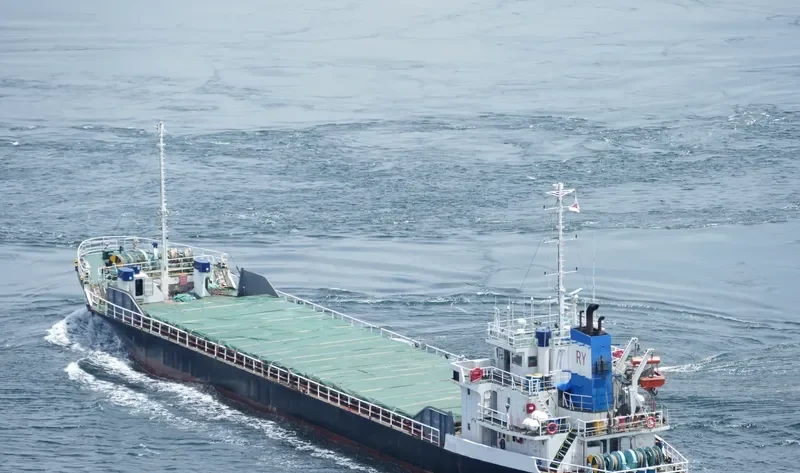 MING JIANG General Cargo IMO 9154646 photo 2