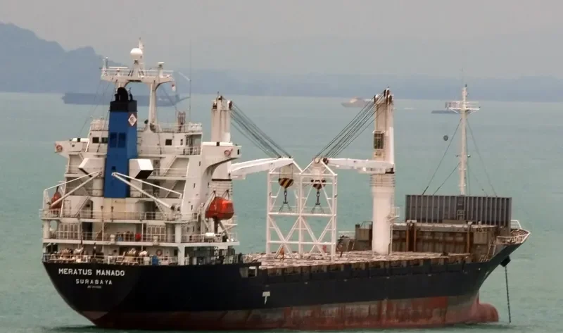MERATUS MANADO Container Ship IMO 9154830 photo 2