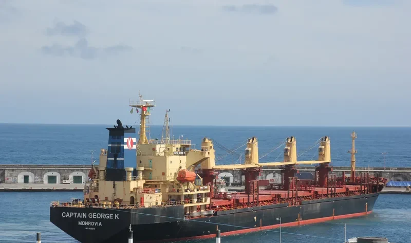 CAPTAIN GEORGE K Bulk Carrier IMO 9155315 photo 6