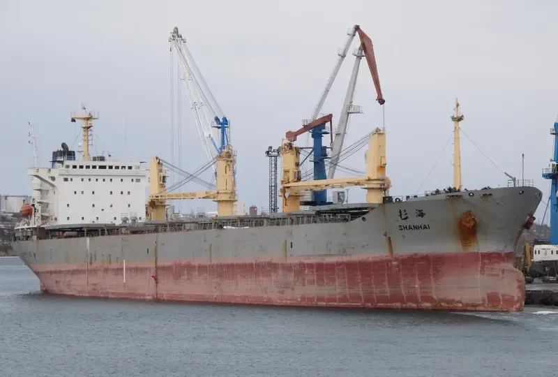 SHAN HAI Bulk Carrier IMO 9155339 photo 6
