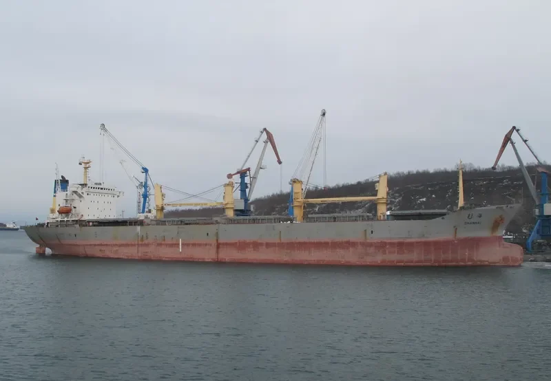SHAN HAI Bulk Carrier IMO 9155339 photo 7