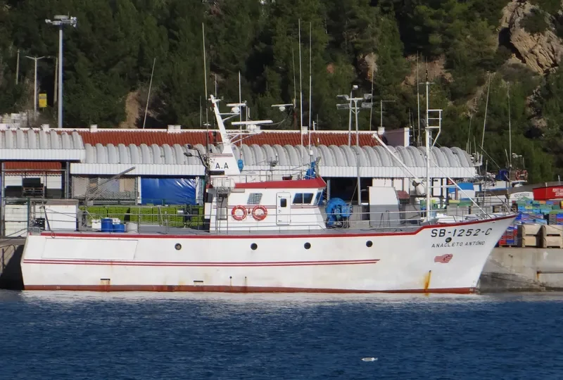 ANACLETO ANTONIO General Cargo IMO 9155999 photo 9