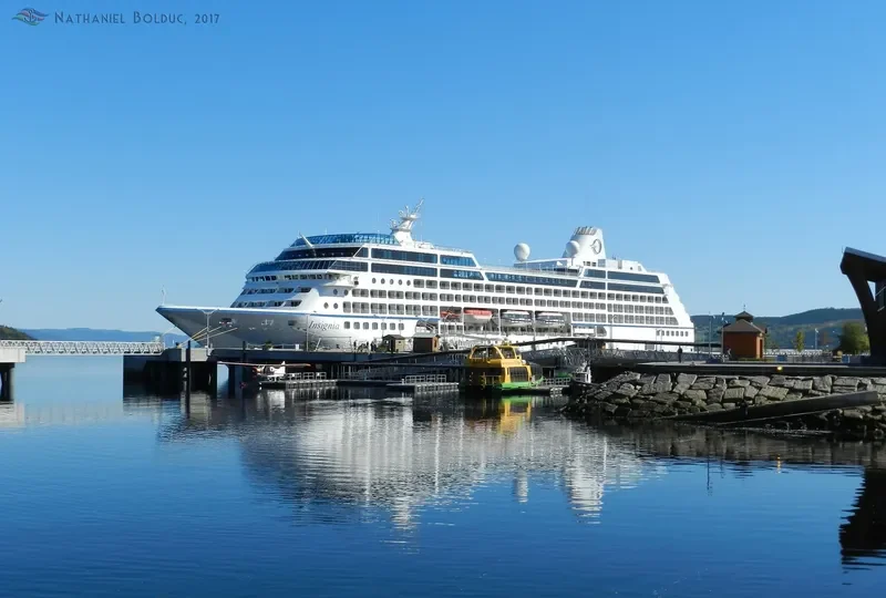 INSIGNIA Passenger Ship IMO 9156462 photo 3