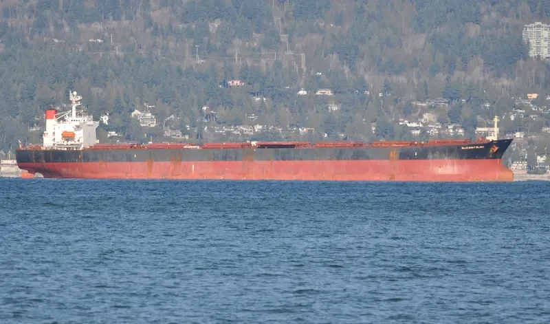 BLUE MONT BLANC Bulk Carrier IMO 9156589