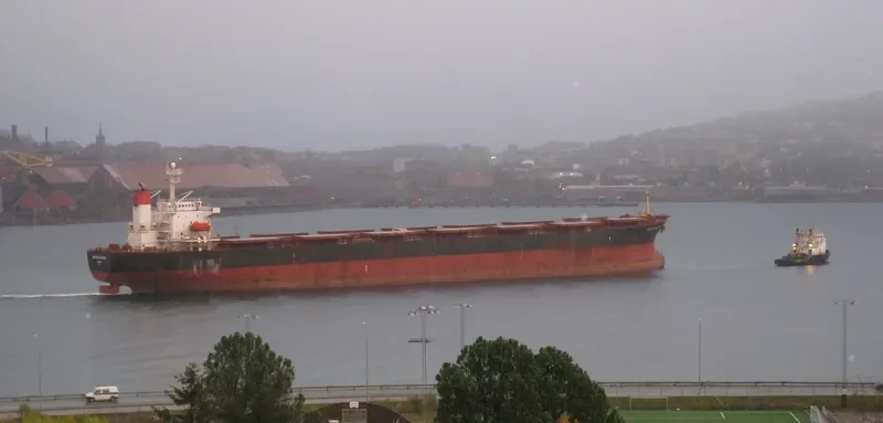 BLUE MONT BLANC Bulk Carrier IMO 9156589 photo 6
