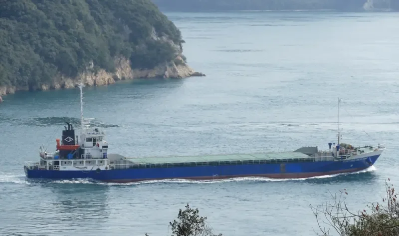 FORTUNE SAILING General Cargo IMO 9156682