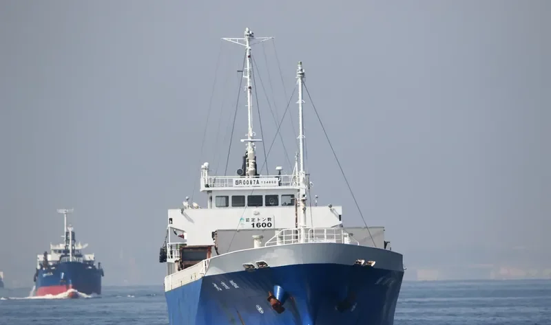 FORTUNE SAILING General Cargo IMO 9156682 photo 3