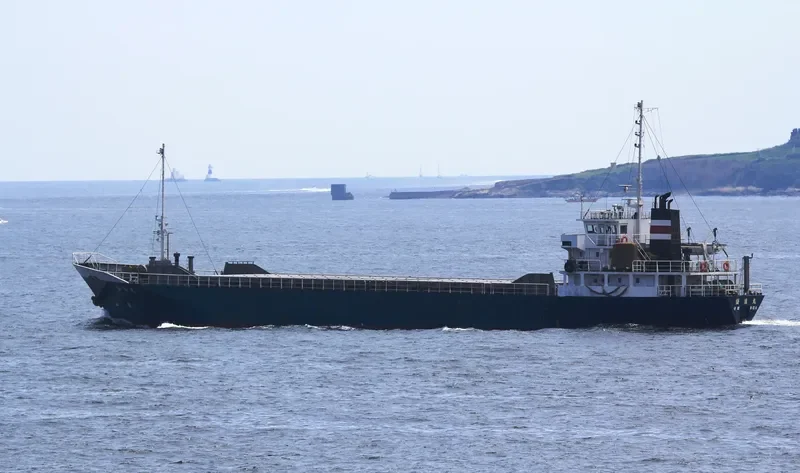 FORTUNE SAILING General Cargo IMO 9156682 photo 4