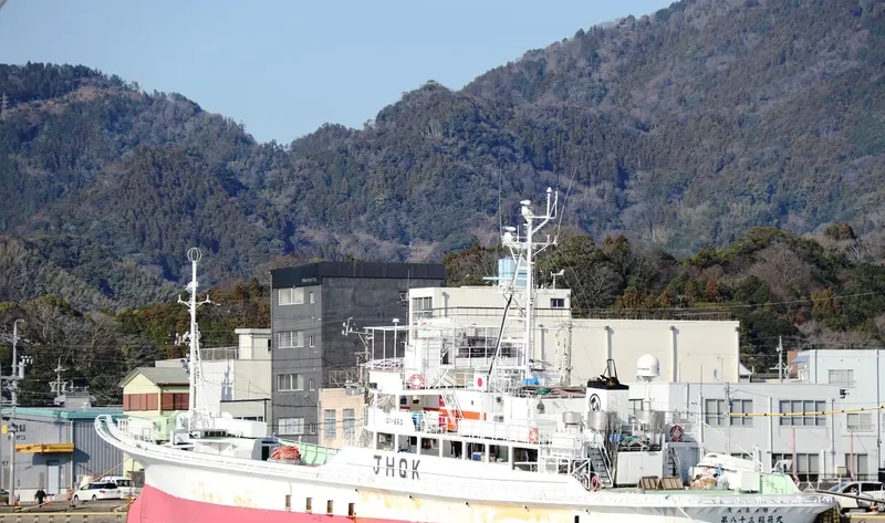 INARI MARU NO.83 General Cargo IMO 9156747 photo 8