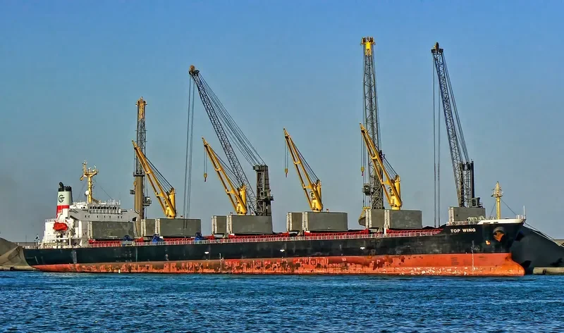 TOP WING Bulk Carrier IMO 9156773