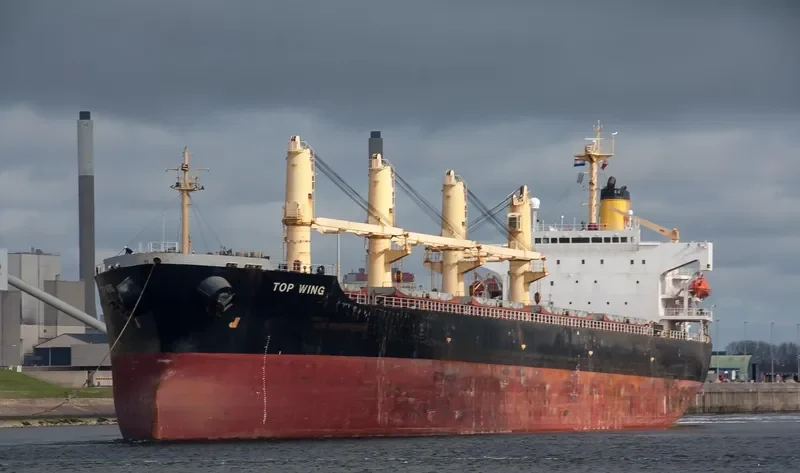 TOP WING Bulk Carrier IMO 9156773 photo 2