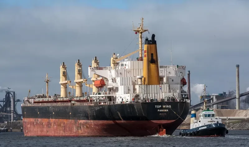 TOP WING Bulk Carrier IMO 9156773 photo 3