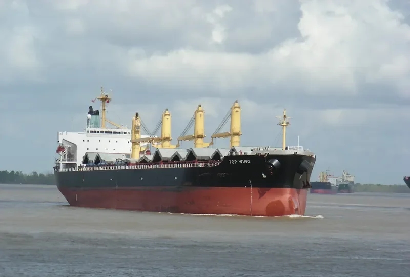 TOP WING Bulk Carrier IMO 9156773 photo 5