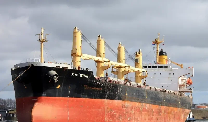 TOP WING Bulk Carrier IMO 9156773 photo 10
