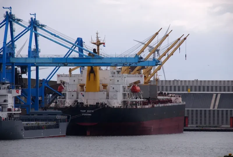 TOP RICH Bulk Carrier IMO 9156785 photo 2