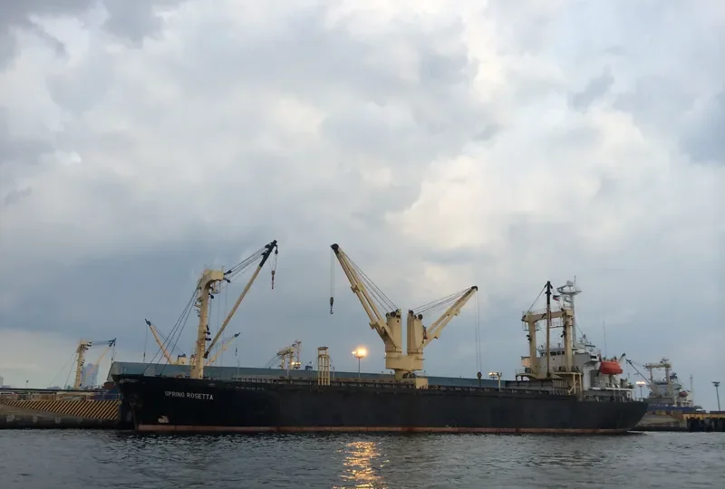 TOKU HARU General Cargo IMO 9156802 photo 3