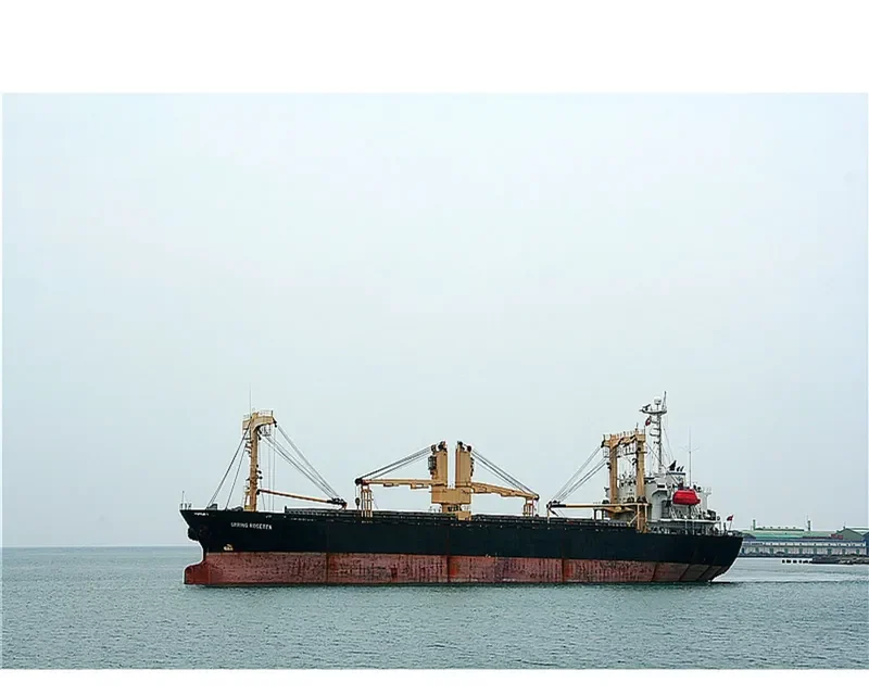 TOKU HARU General Cargo IMO 9156802 photo 6