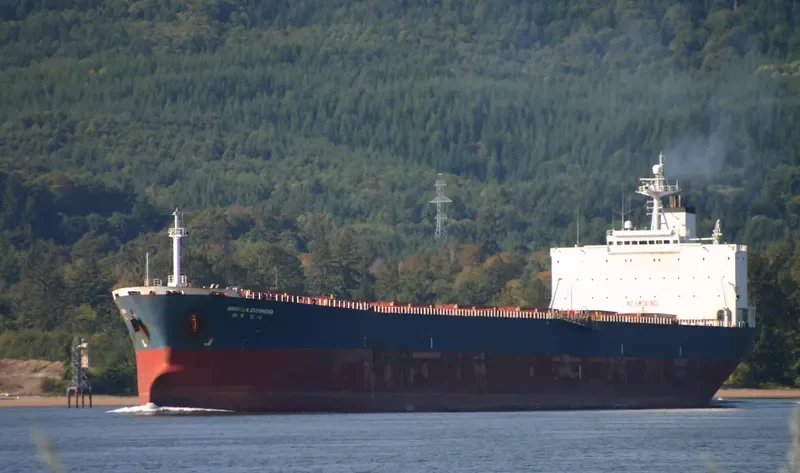 CHANG MING 2 Bulk Carrier IMO 9156838 photo 10