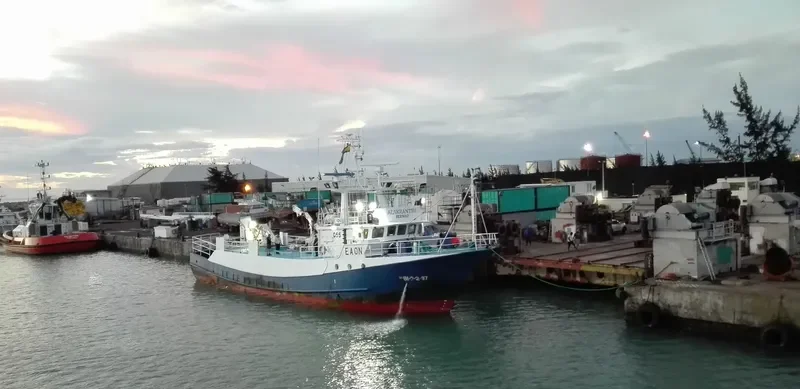 ALAKRANTXU General Cargo IMO 9156929