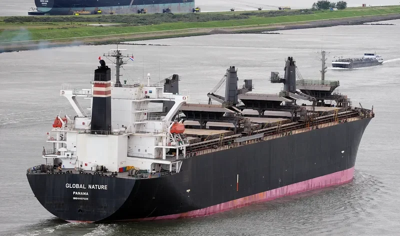GLOBAL NATURE General Cargo IMO 9157325 photo 3