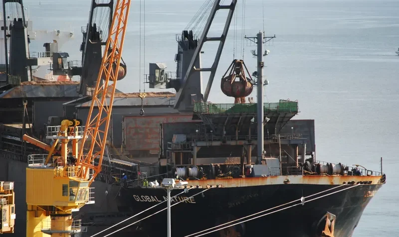 GLOBAL NATURE General Cargo IMO 9157325 photo 4