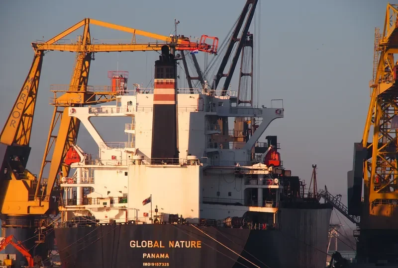 GLOBAL NATURE General Cargo IMO 9157325 photo 5