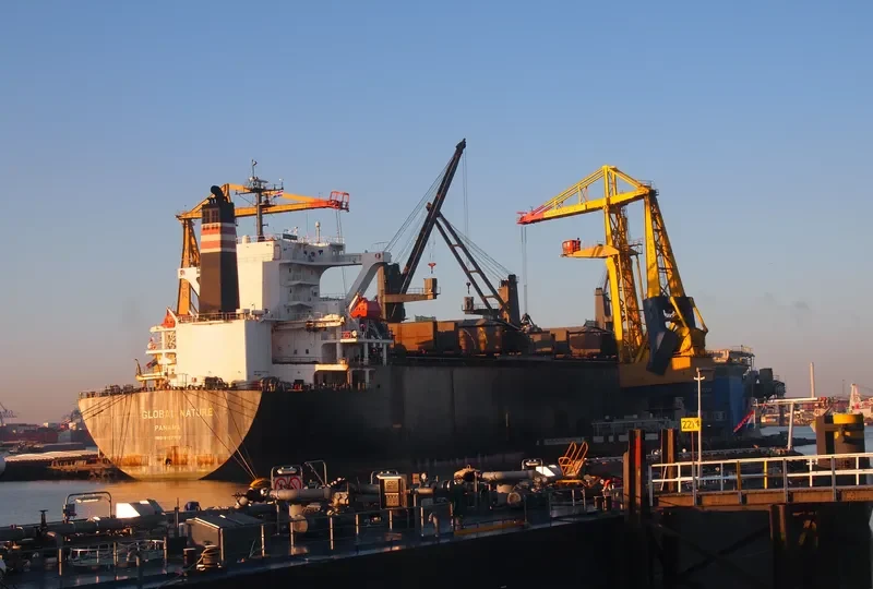GLOBAL NATURE General Cargo IMO 9157325 photo 6