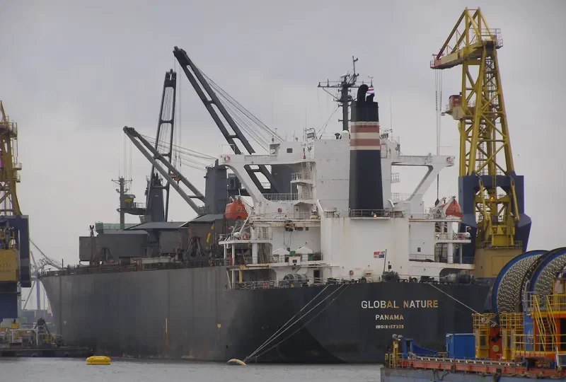 GLOBAL NATURE General Cargo IMO 9157325 photo 7