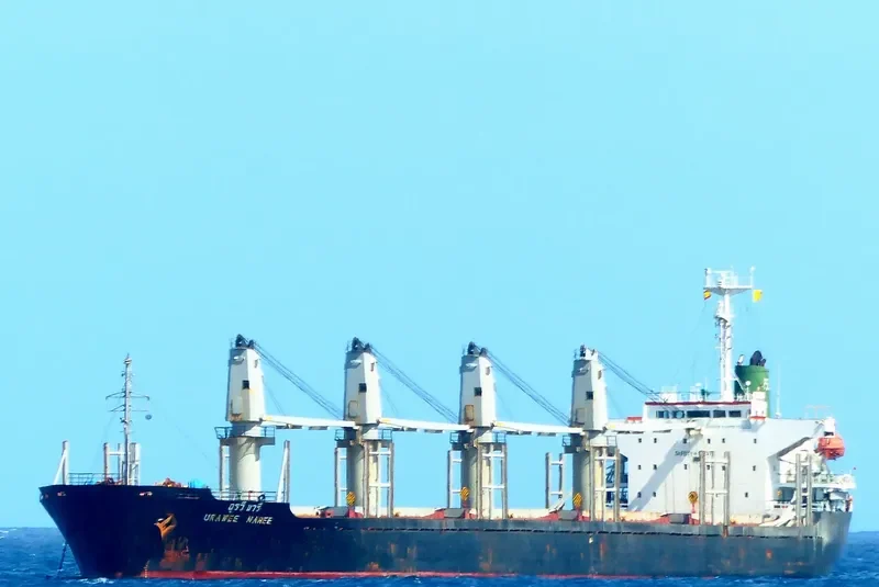 TAI HO Bulk Carrier IMO 9157351 photo 4