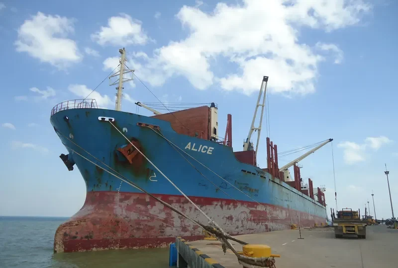 TINA Bulk Carrier IMO 9157363
