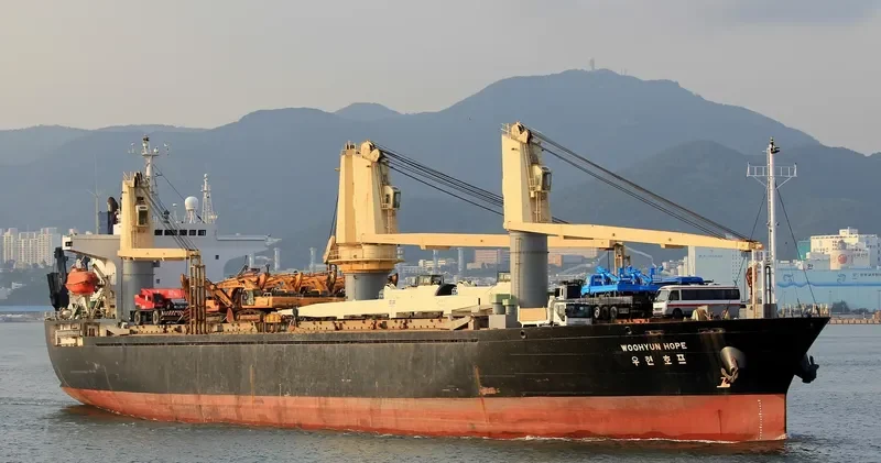 NEW HOPE General Cargo IMO 9157430 photo 4