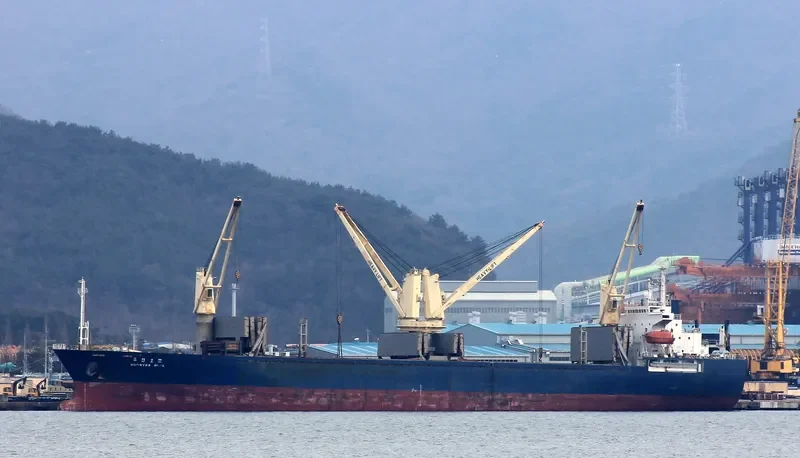 NEW HOPE General Cargo IMO 9157430 photo 10