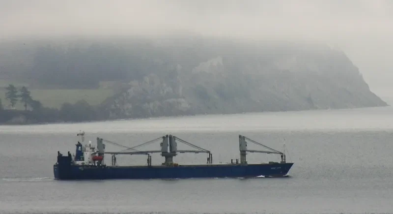 BRIGHT STATE General Cargo IMO 9157442 photo 10