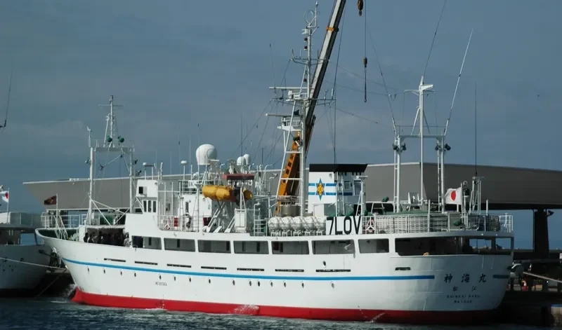 KUROSHIO General Cargo IMO 9157454 photo 5