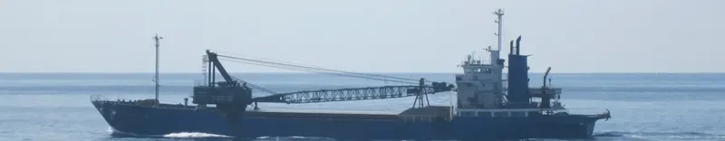 EIWA MARU General Cargo IMO 9157480 photo 5