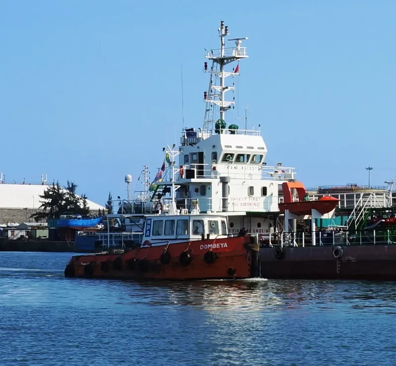 DOMBEYA Tug Boat IMO 9157882 photo 7
