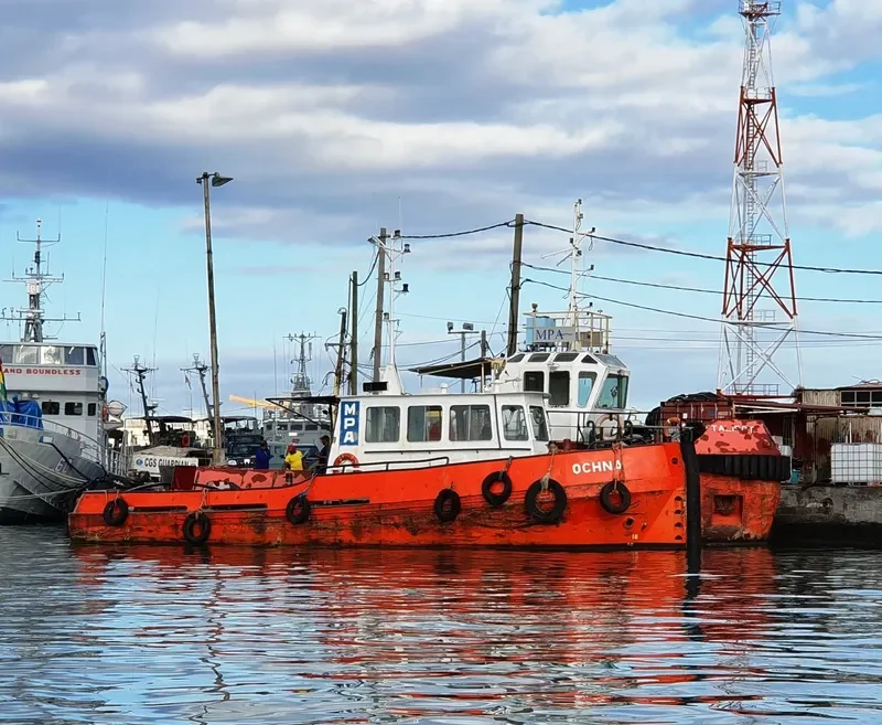 OCHNA Tug Boat IMO 9157894 photo 3