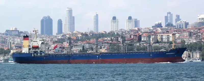 XUCHANGHAI Bulk Carrier IMO 9158379 photo 5