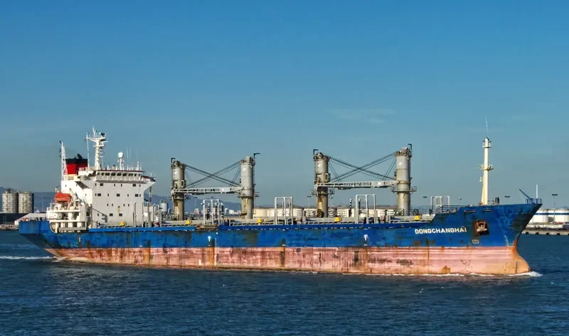 DONGCHANGHAI Bulk Carrier IMO 9158381