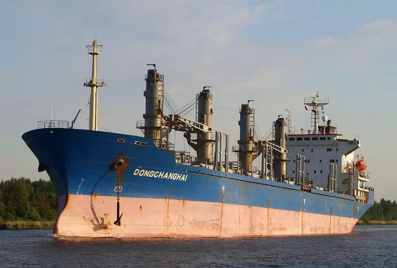 DONGCHANGHAI Bulk Carrier IMO 9158381 photo 7