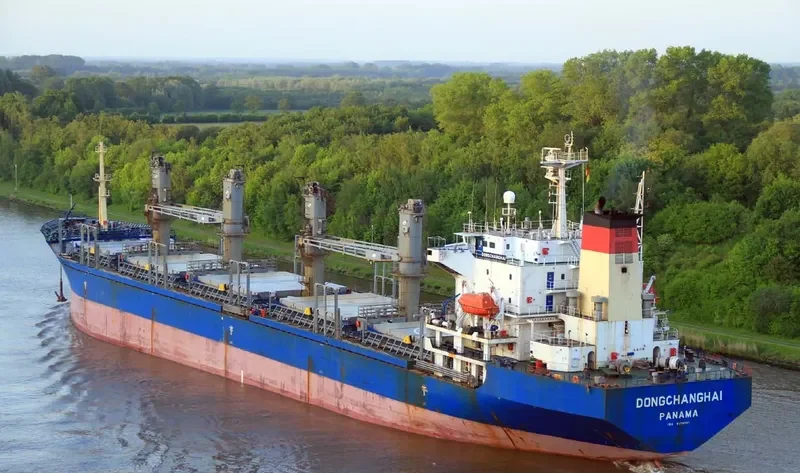 DONGCHANGHAI Bulk Carrier IMO 9158381 photo 10