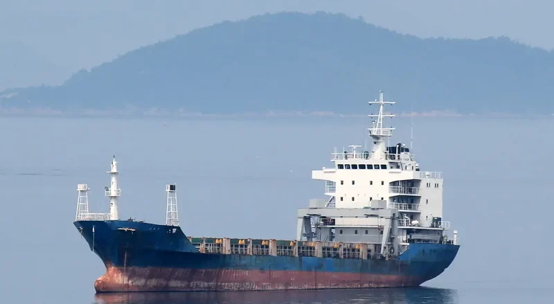 CHANGJO VENUS General Cargo IMO 9158771 photo 6