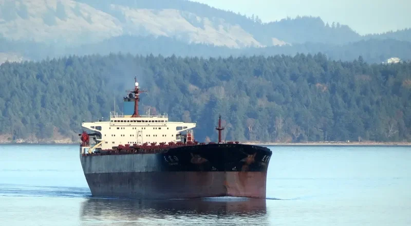TIAN FU HAI Bulk Carrier IMO 9158800 photo 6