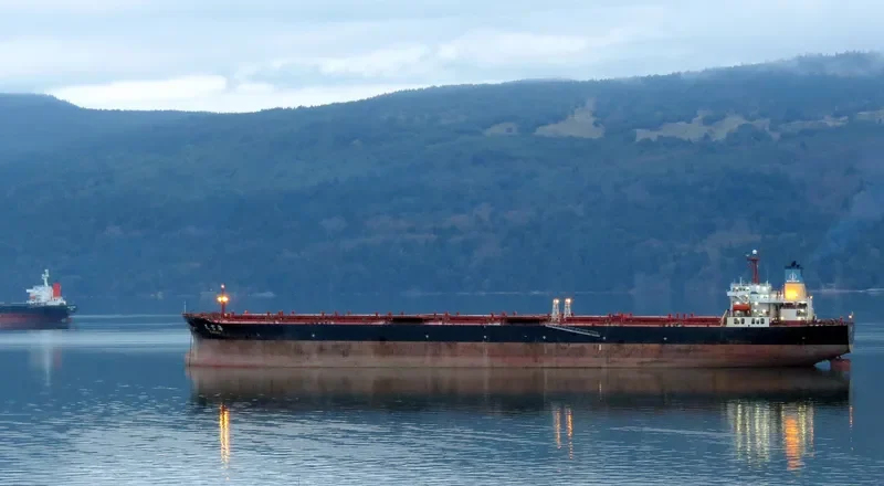 TIAN FU HAI Bulk Carrier IMO 9158800 photo 10