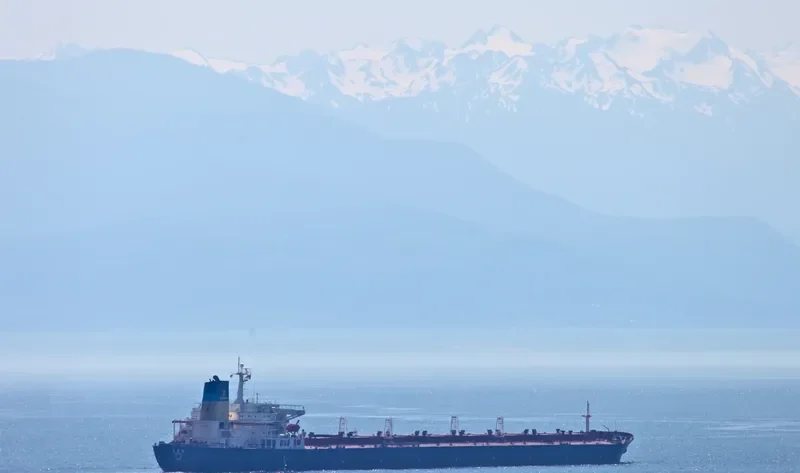 TIAN LI HAI Bulk Carrier IMO 9158812 photo 4