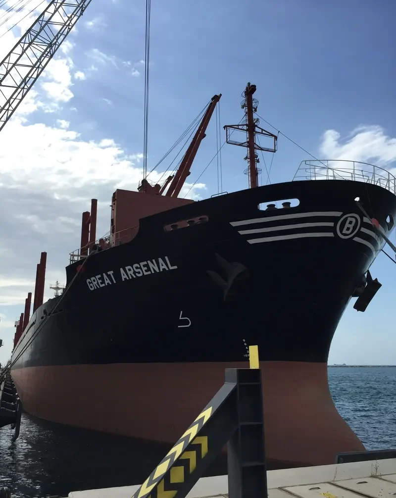 GREAT ARSENAL Bulk Carrier IMO 9159062 photo 6