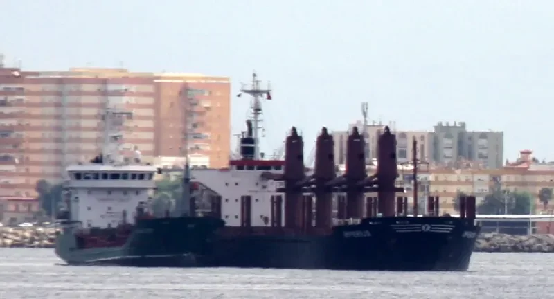 GREAT ARSENAL Bulk Carrier IMO 9159062 photo 7