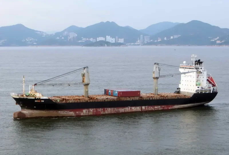 PROMOTE Container Ship IMO 9159309 photo 3