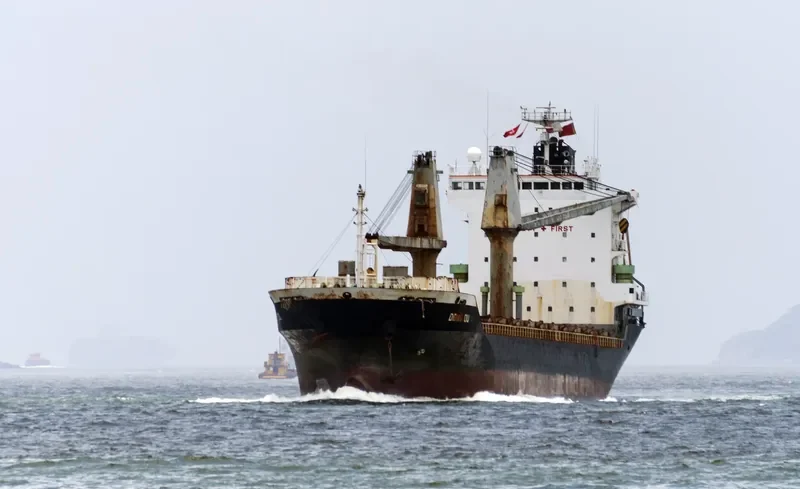 PROMOTE Container Ship IMO 9159309 photo 6